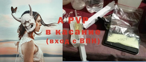 СК Горно-Алтайск