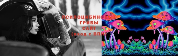 соль ск Горняк