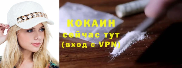 соль ск Горняк