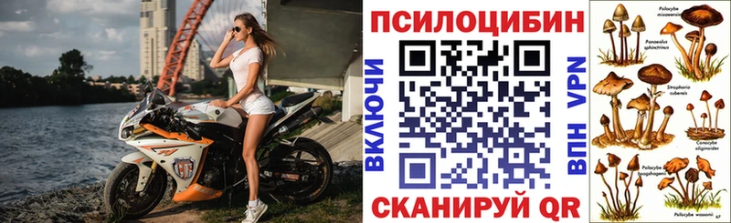 площадка состав  ссылка на мегу как войти  Галлюциногенные грибы мухоморы  Меленки  купить наркоту 